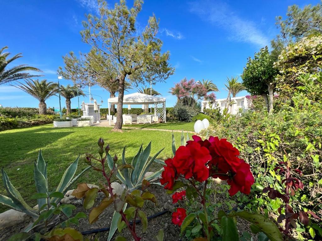 Hotel Parco Delle Rose Silvi Marina Exteriör bild